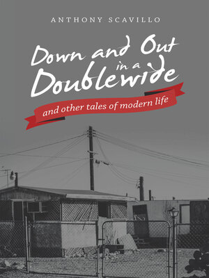 cover image of Down and out in a Doublewide and Other Tales of Modern Life